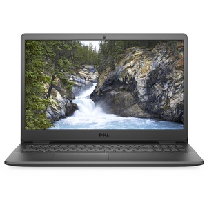  Laptop Dell Inspiron 15 3505 Y1N1T5 